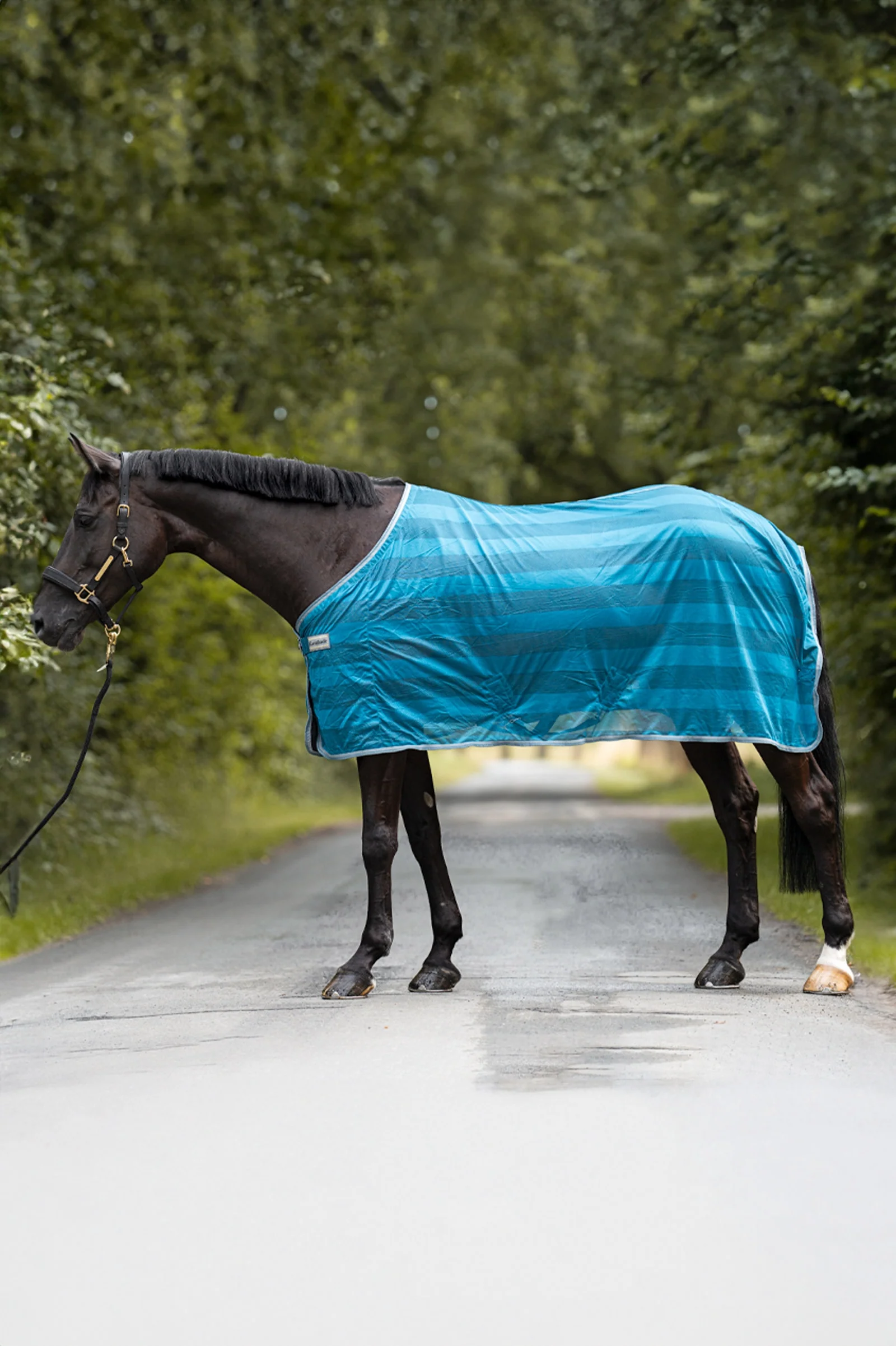 Stripe Fly Rug Petrol/Petrol 125