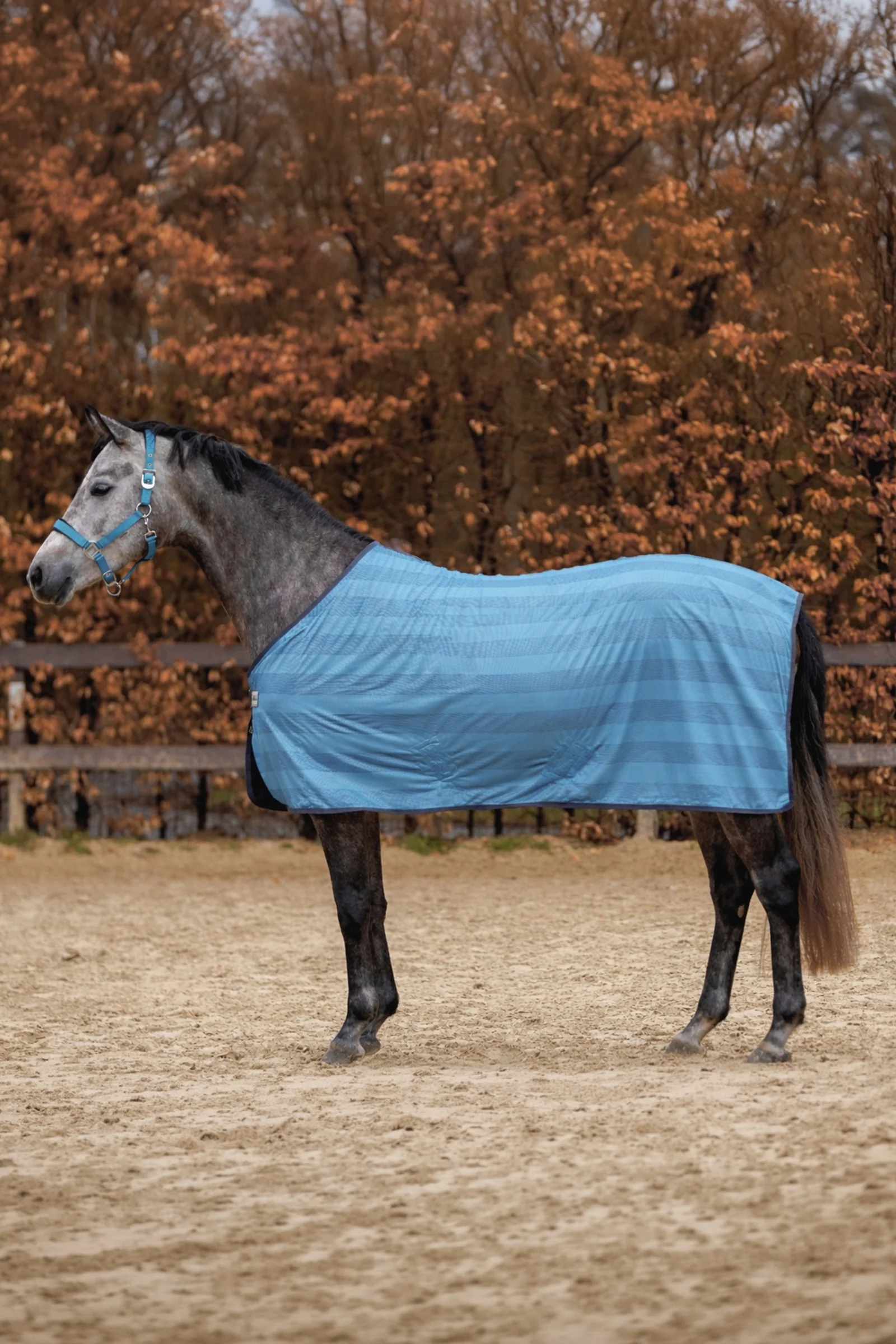 Stripe Fly Rug Smokeblue/Grey 125