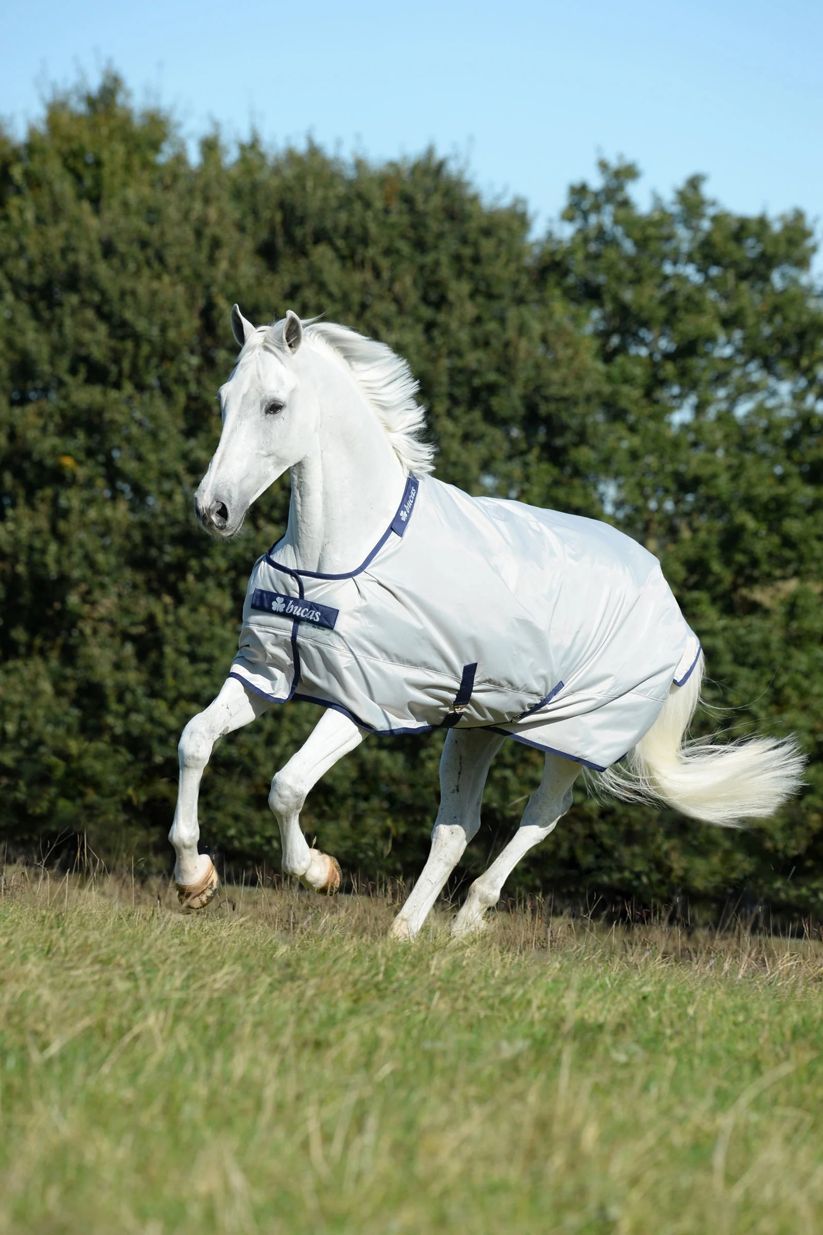 Sun Shower Turnout Rug, 0g Silver 120 - Image 2