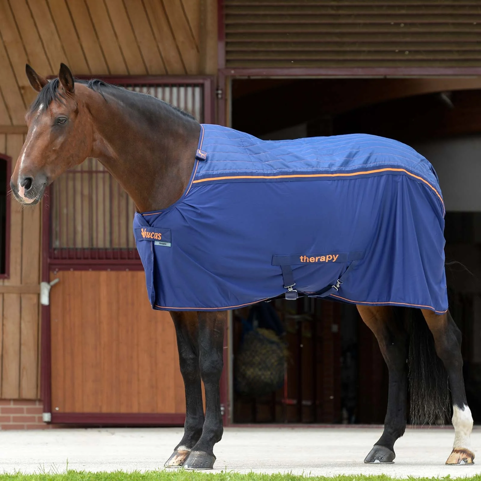 Therapy Cooler Big Neck DB/DB 125