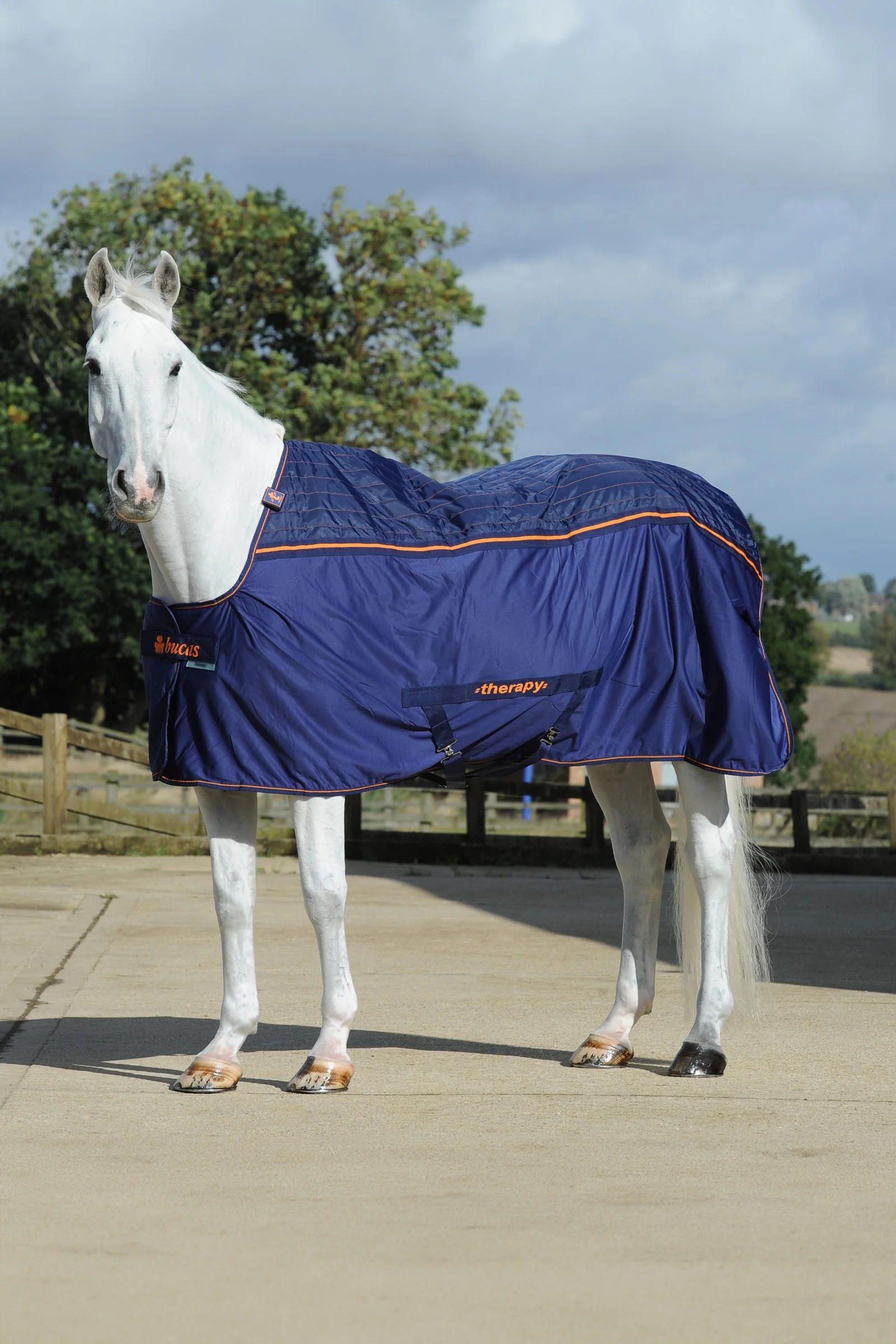 Therapy Cooler Rug, 0 g Dark Blue/Orange 125