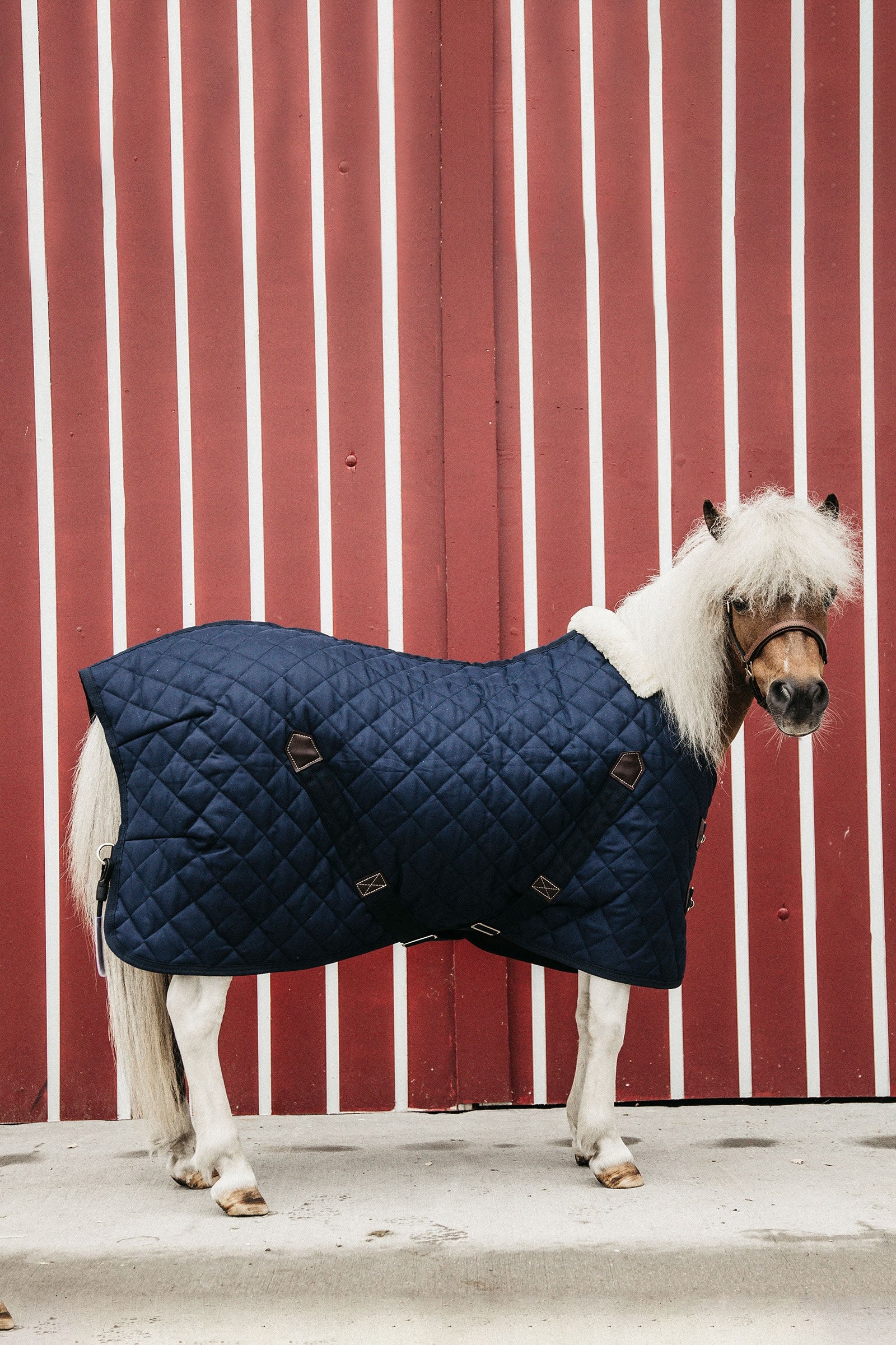 Tiny Pony Stable Rug, 400g Dark Blue 70