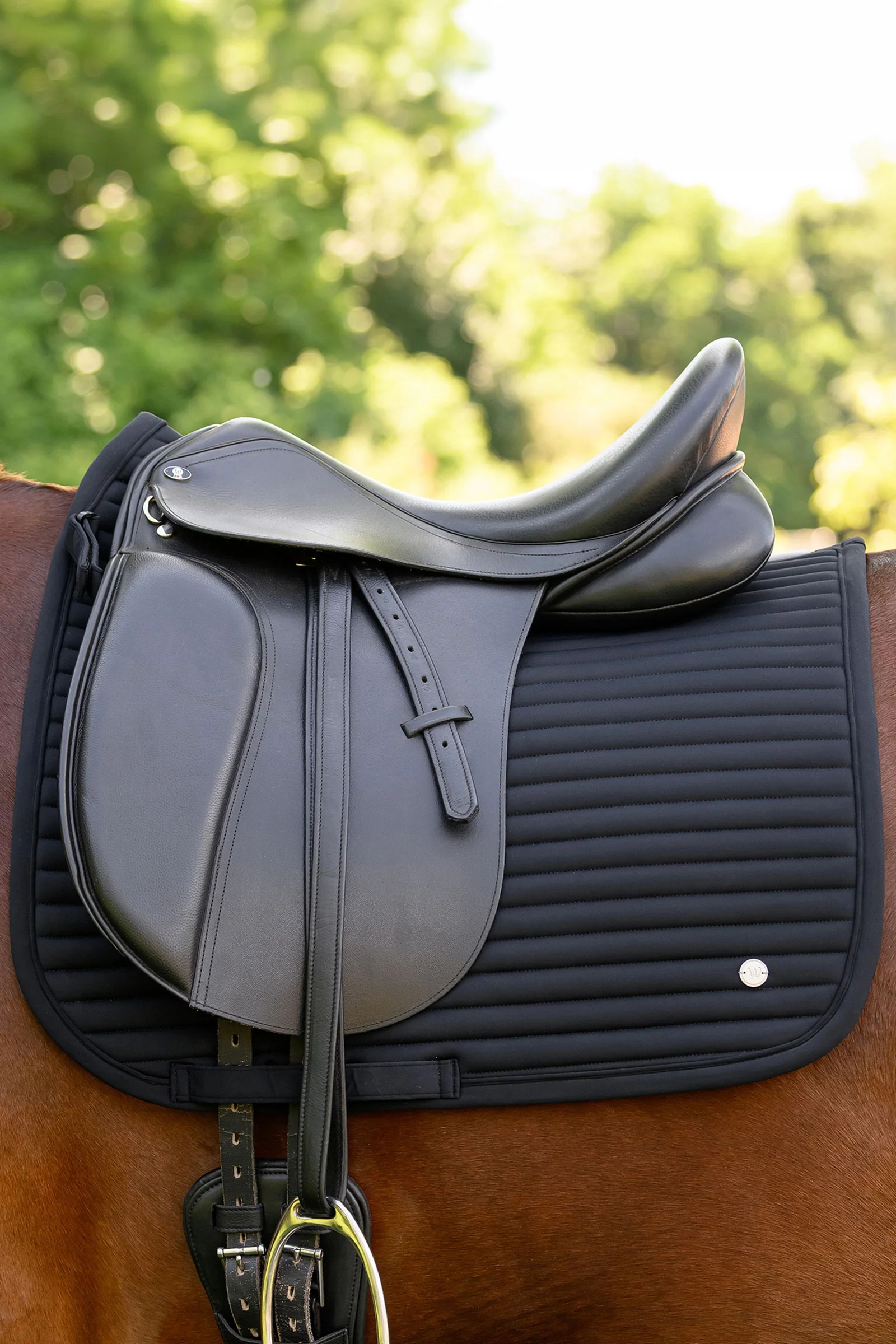 Trinidad Dressage Saddle Pad Black F