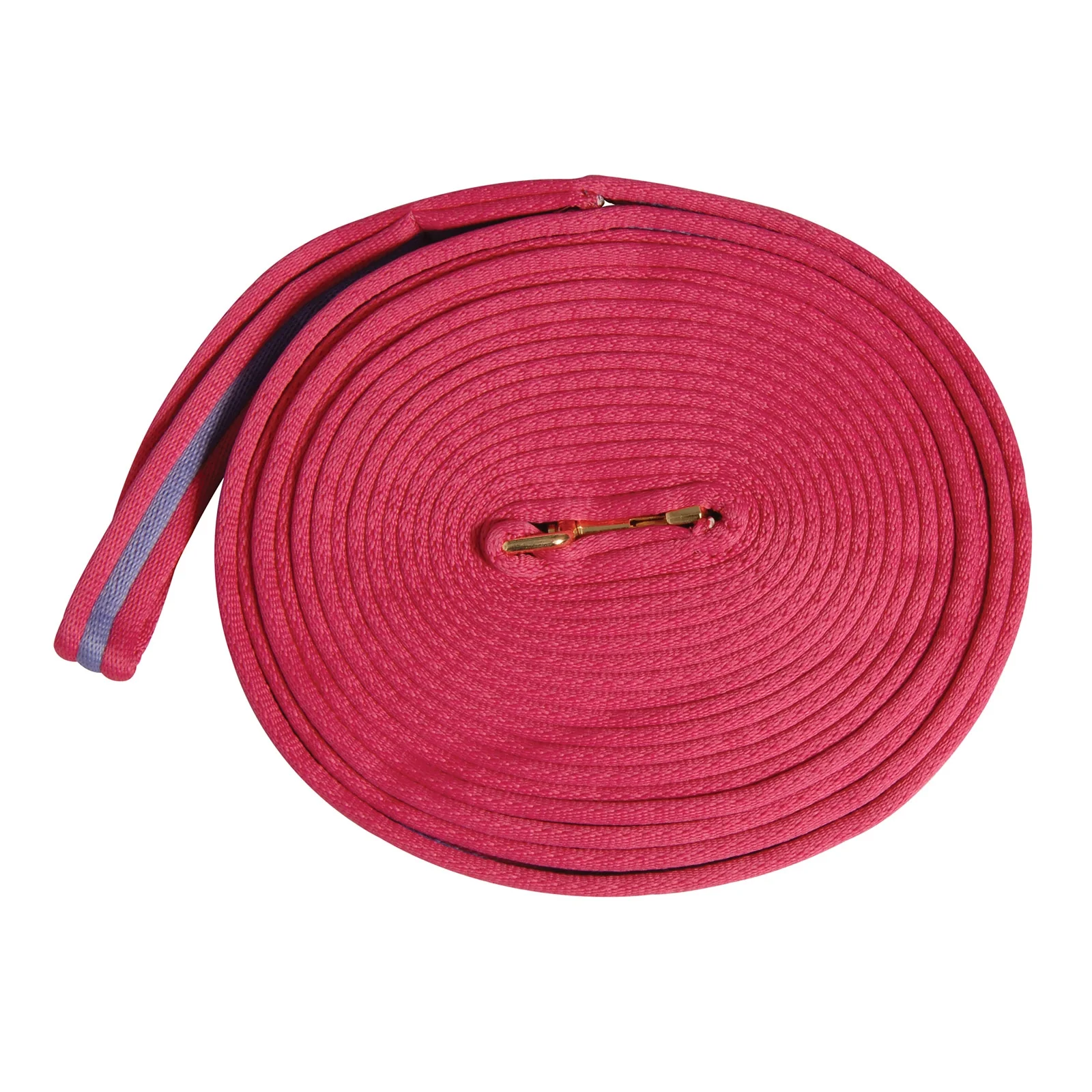 Two Tone Padded Lunging Rein 8m HPI/PU 8 m