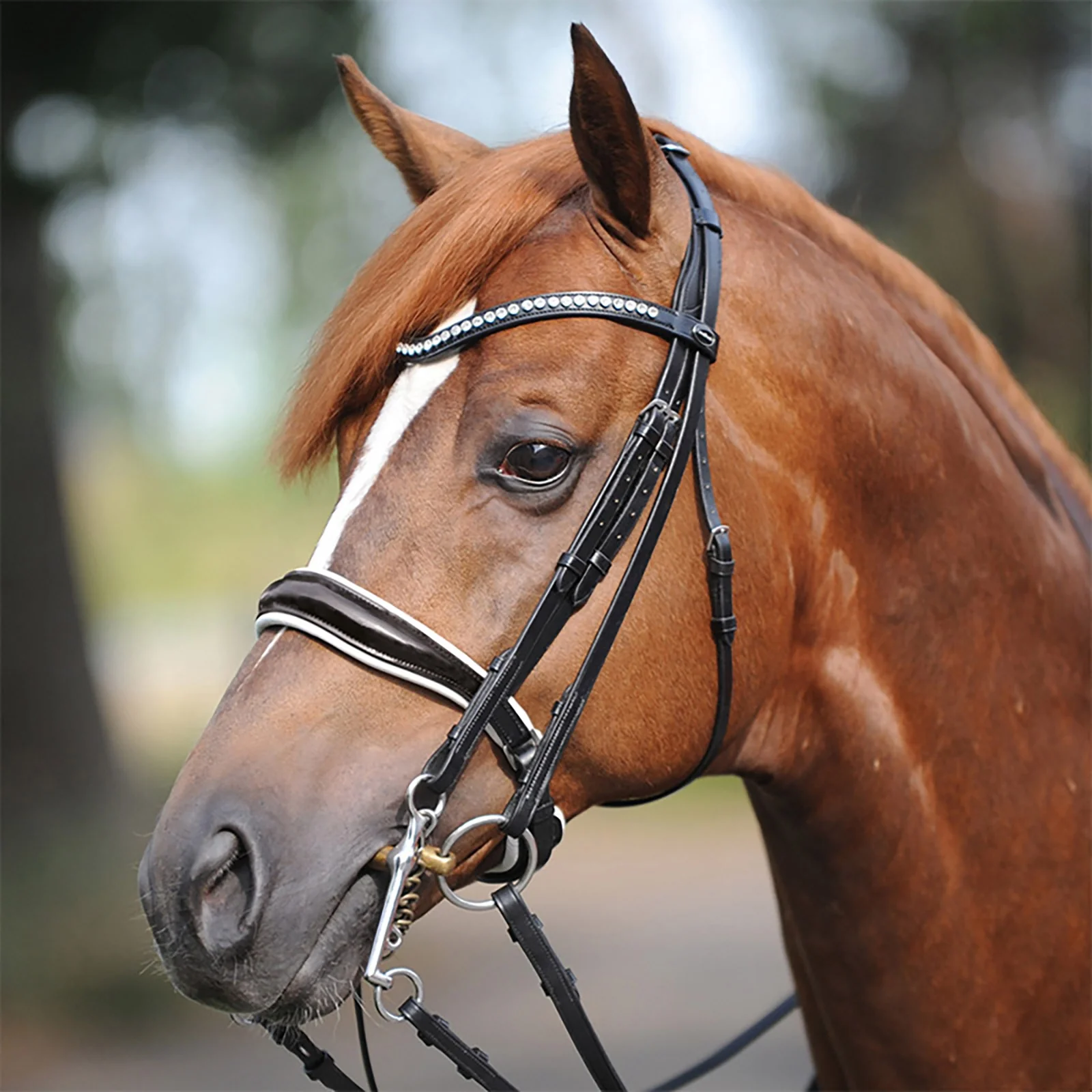 Weymouth bridle Antonia, crank noseband Black/White/Painted P